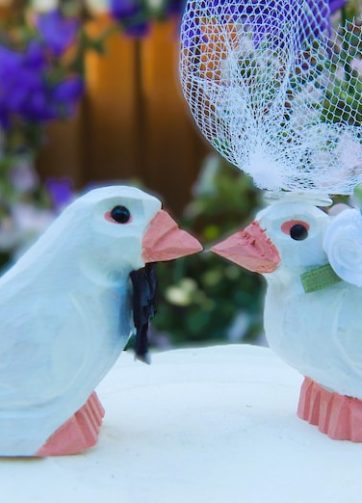 White Dove Love Bird Cake Topper Bride & Groom Wedding Engagement Anniversary Carved Wood Statue